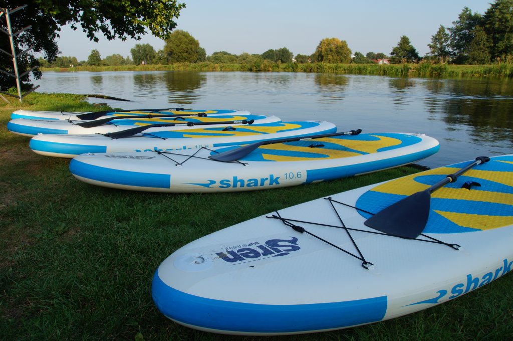 Stand up Paddler
