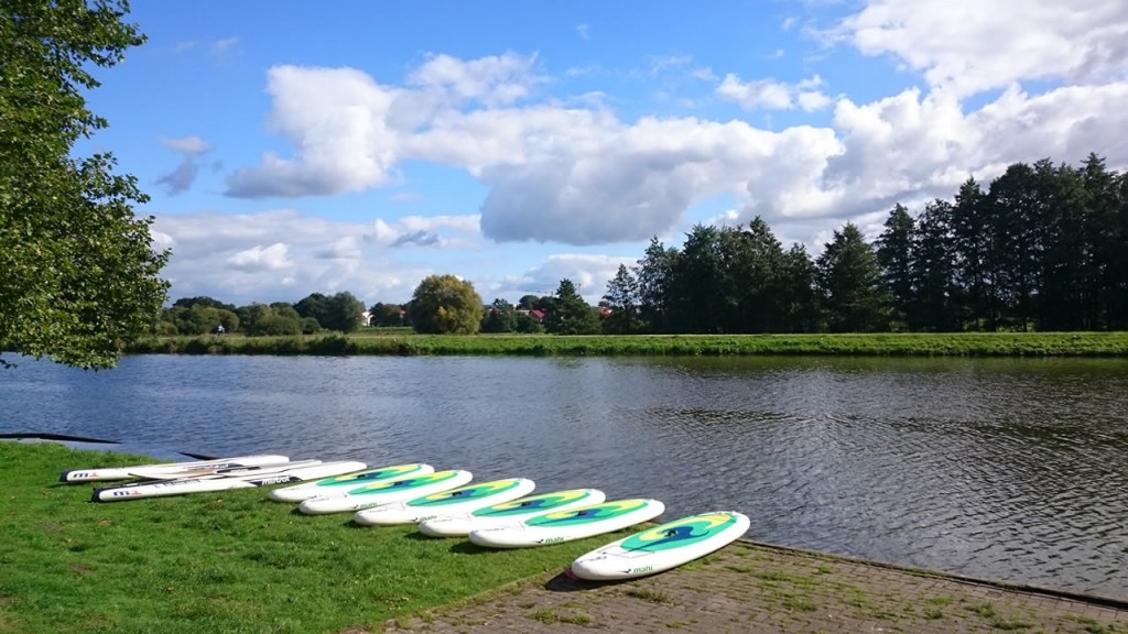 Stand up Paddler