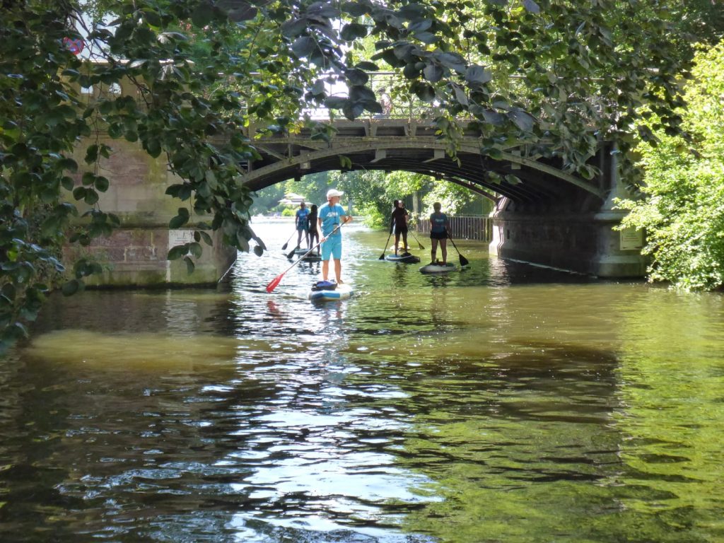 Stand up Paddler