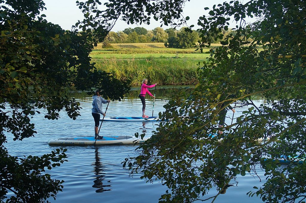 Stand up Paddler