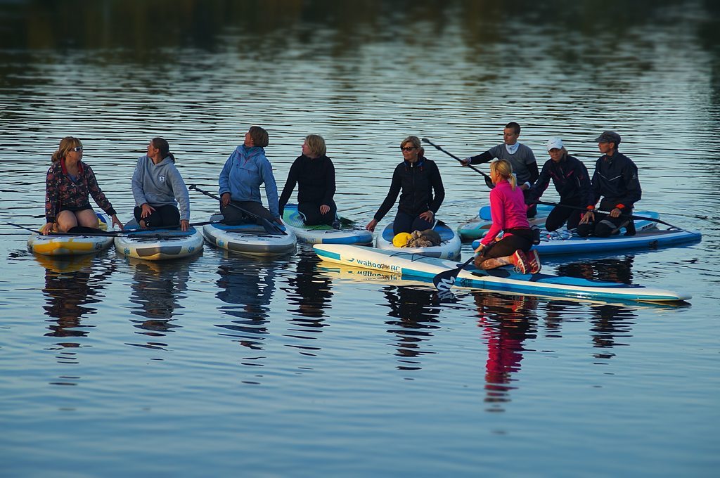 Stand up Paddler