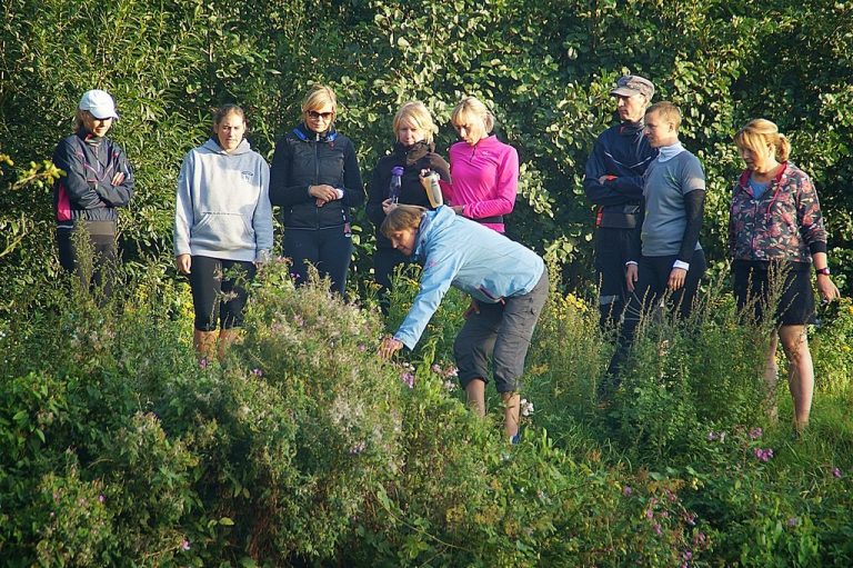 Stand up Paddler SUP in Oldenburg