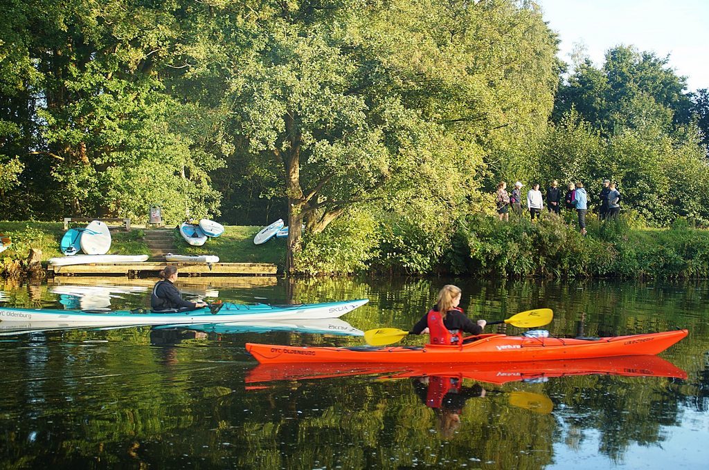 Stand up Paddler