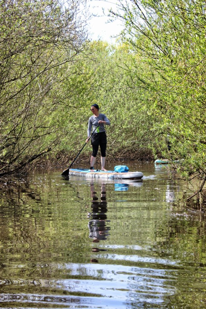 Stand up Paddler