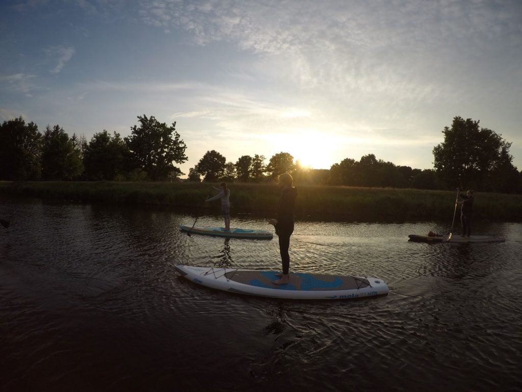 Stand up Paddler