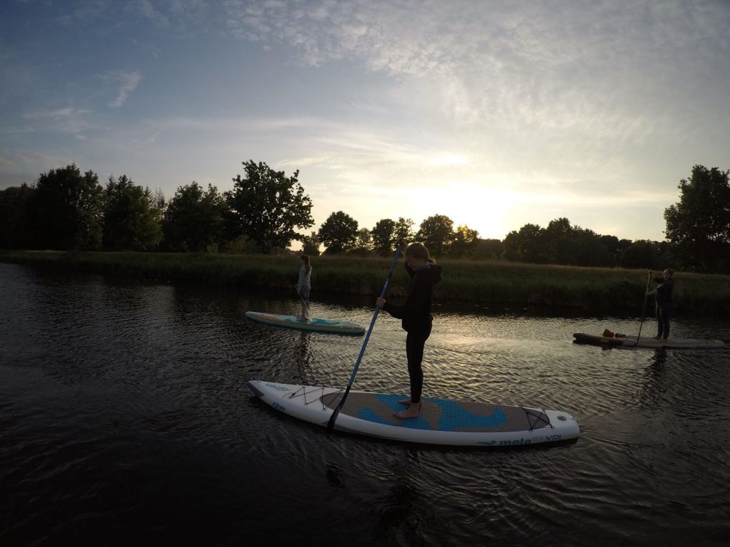 Stand up Paddler