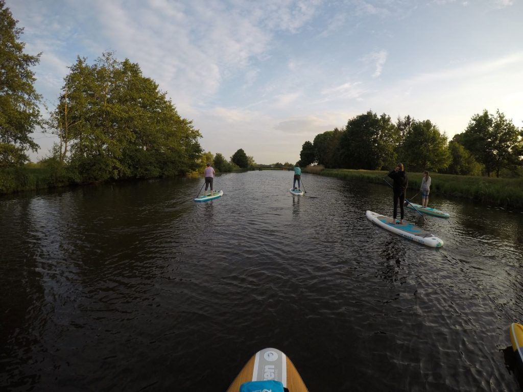 Stand up Paddler