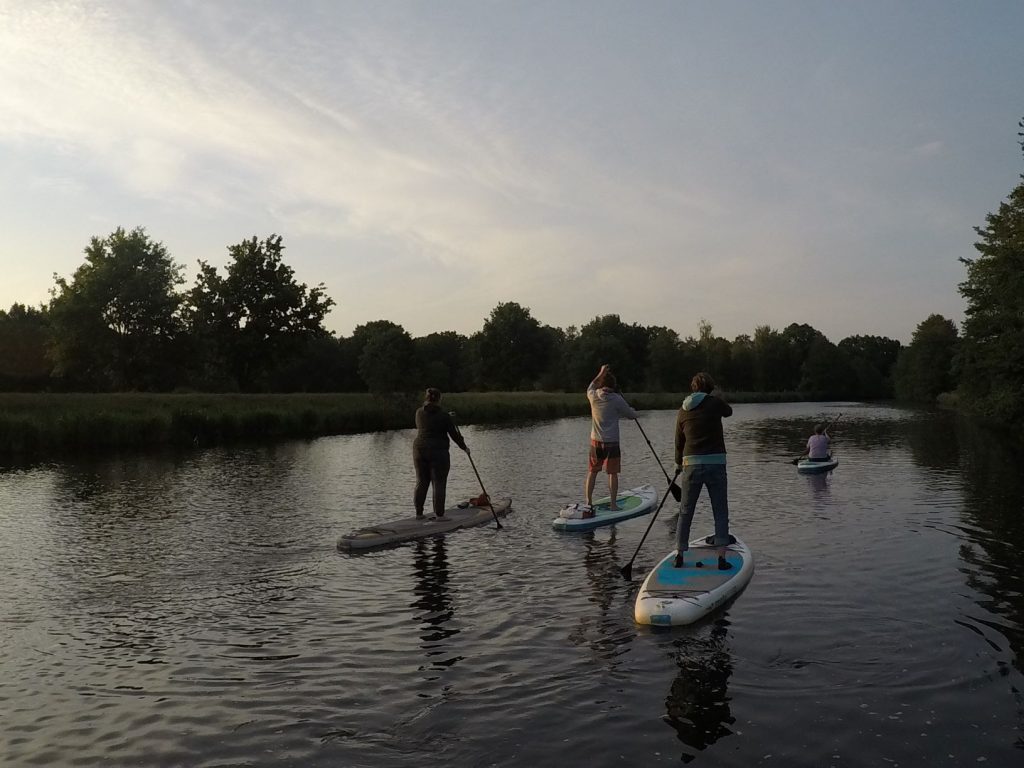 Stand up Paddler