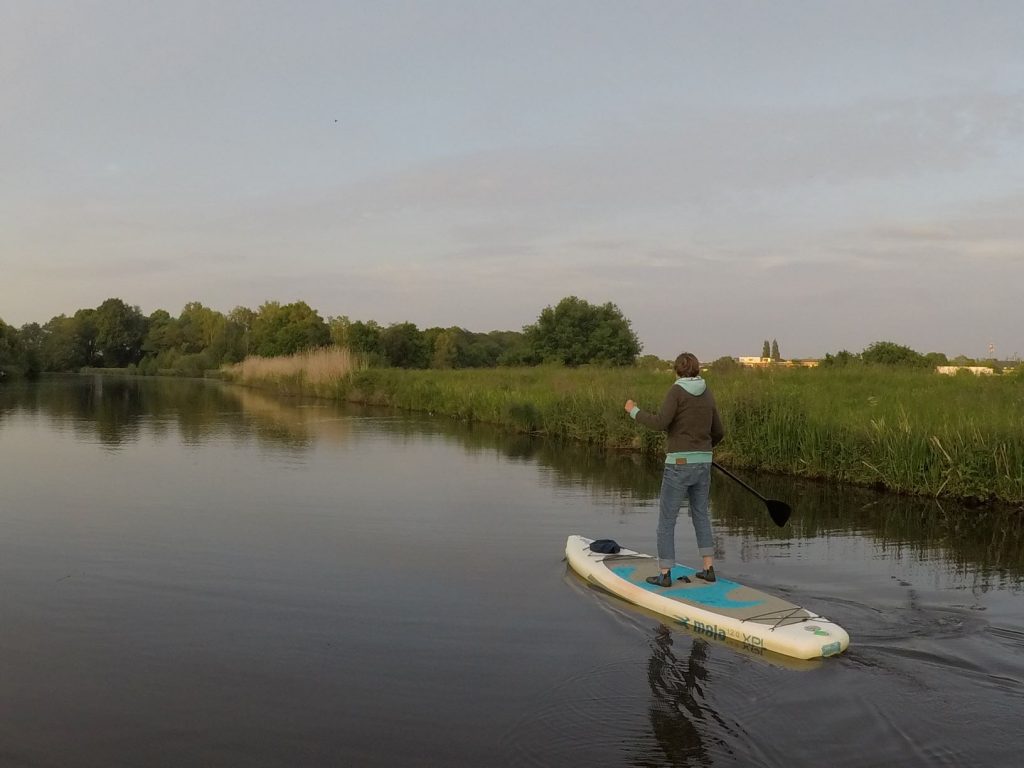 Stand up Paddler