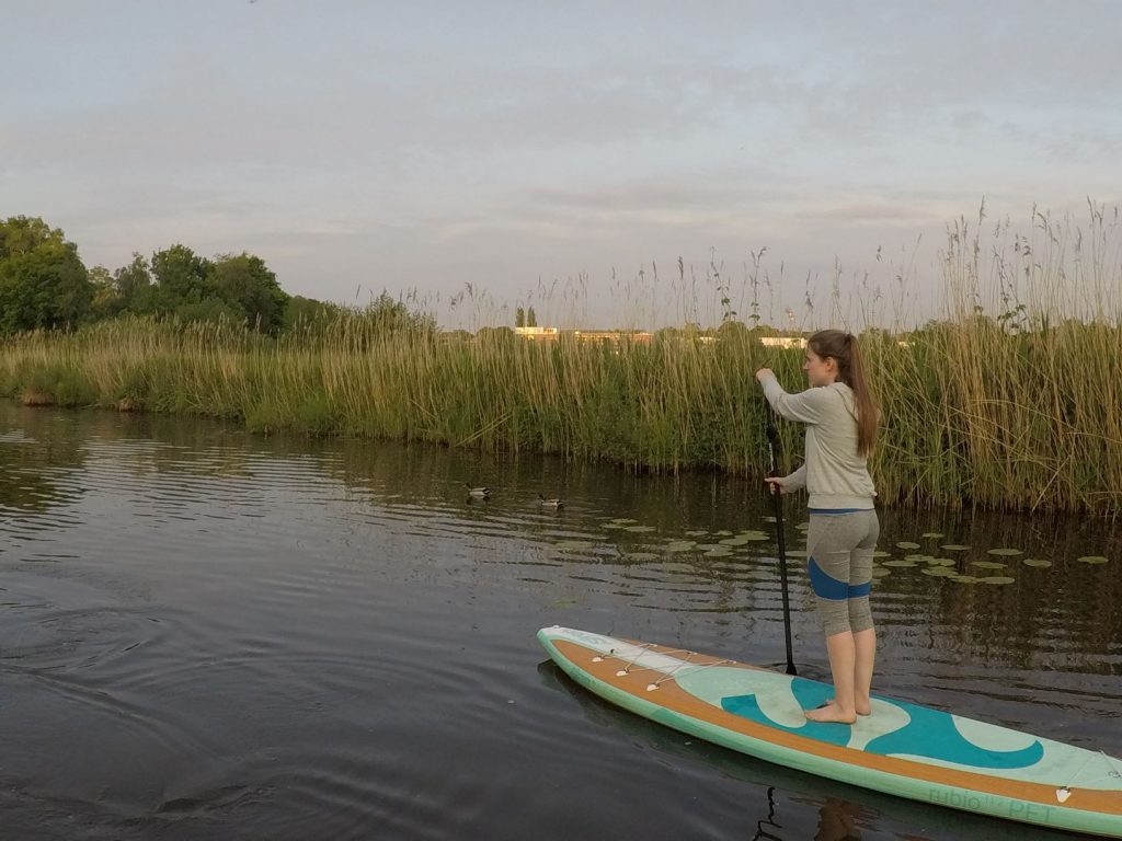 Stand up Paddler