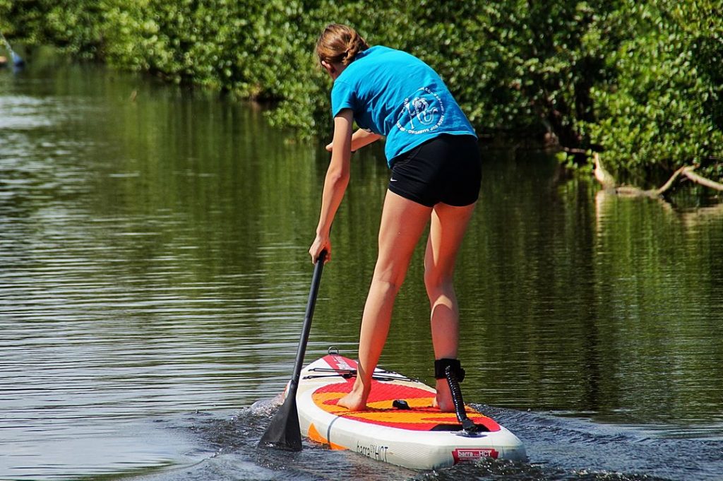 Stand up Paddler
