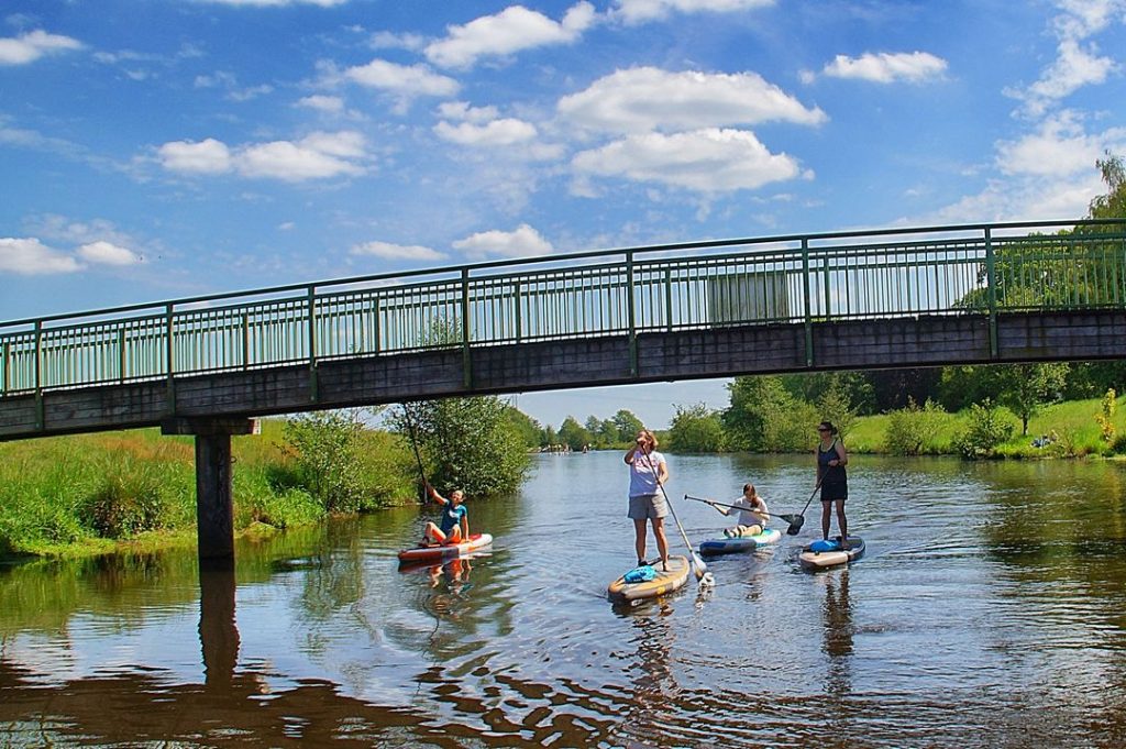Stand up Paddler