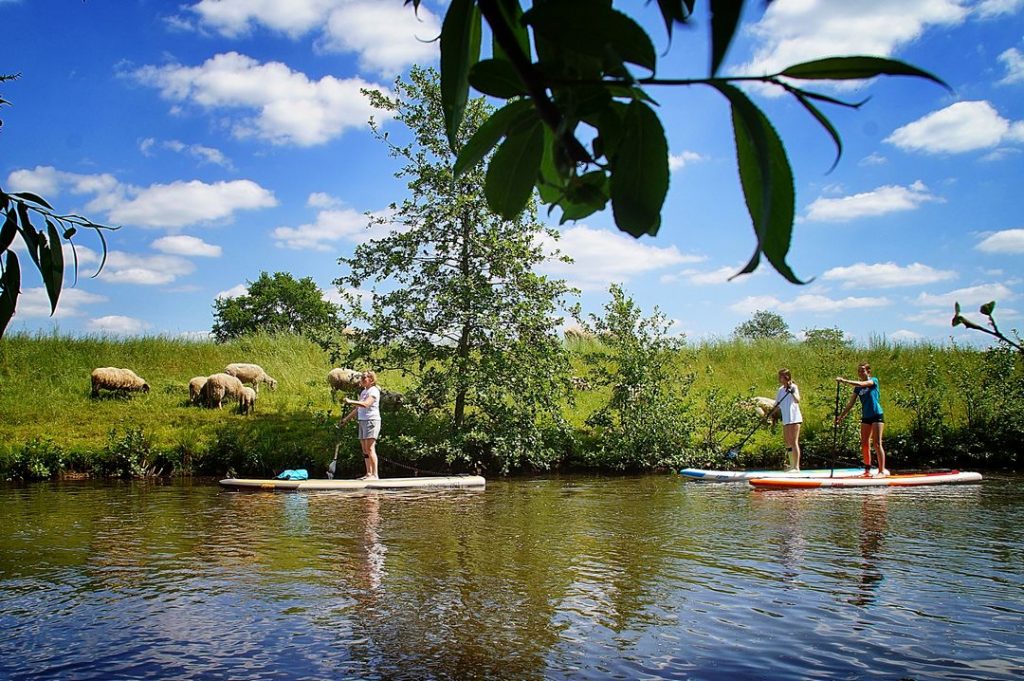 Stand up Paddler