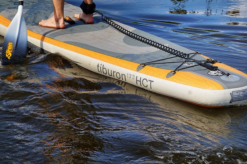 Stand up Paddler