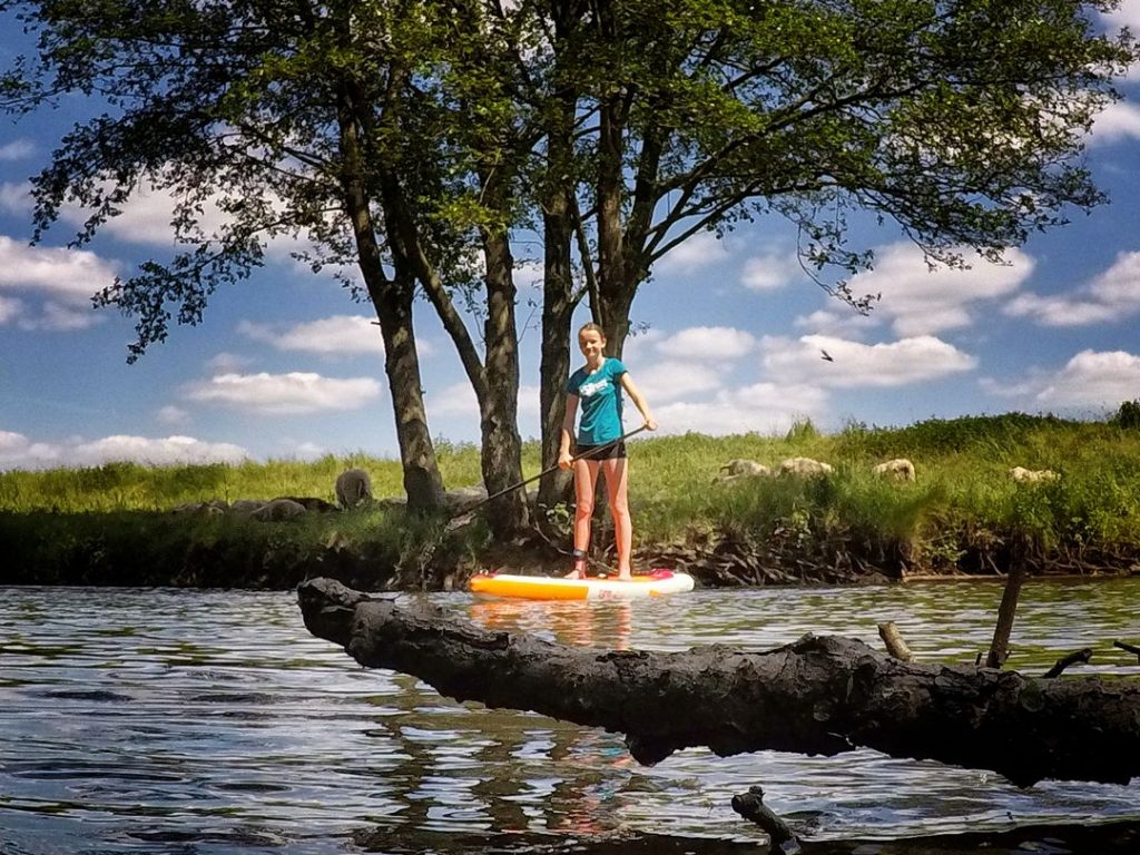 Stand up Paddler