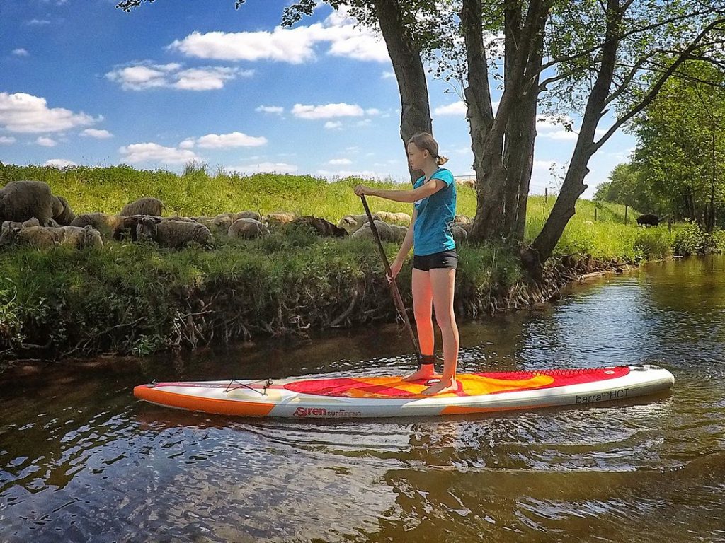 Stand up Paddler