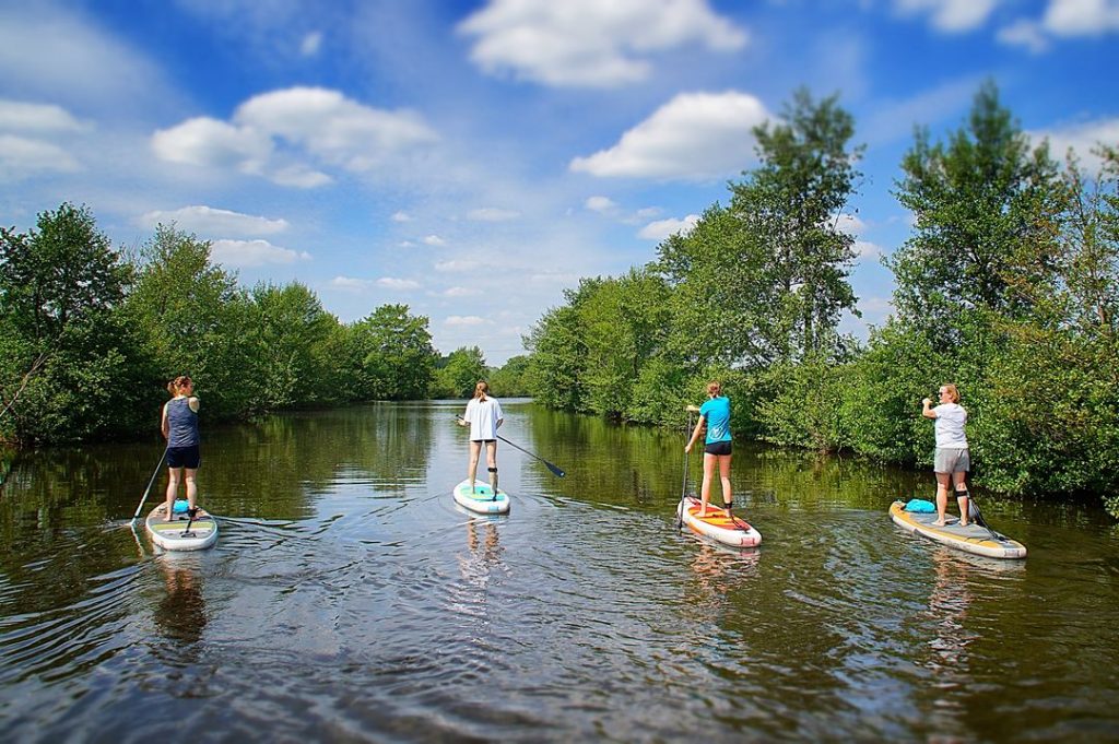 Stand up Paddler