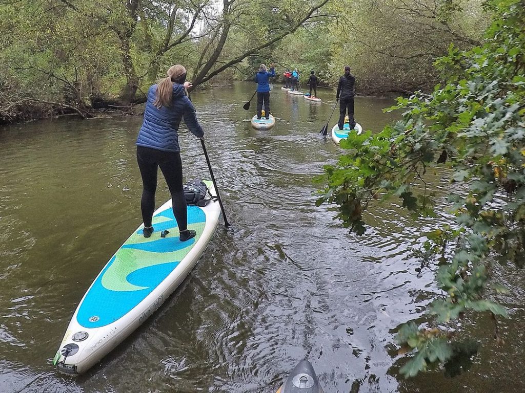 Stand up Paddler