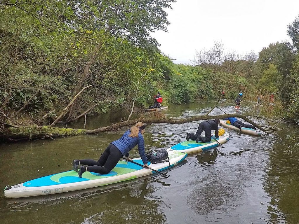 Stand up Paddler