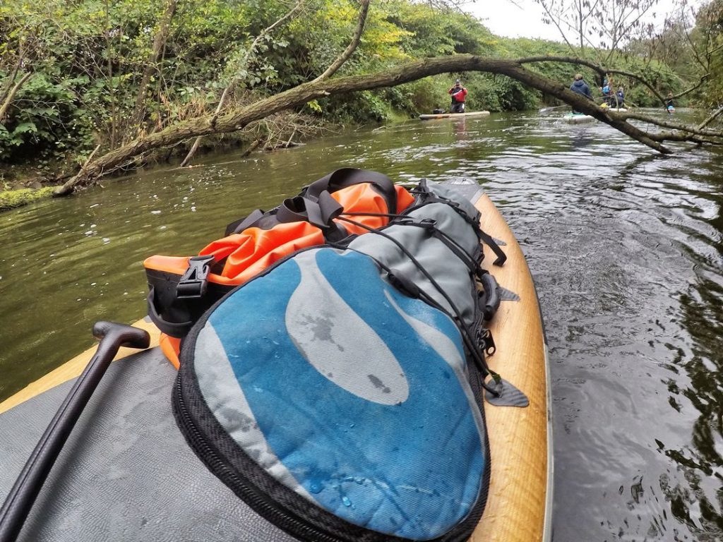 Stand up Paddler