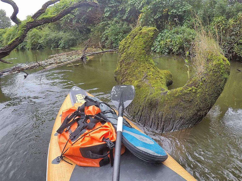 Stand up Paddler