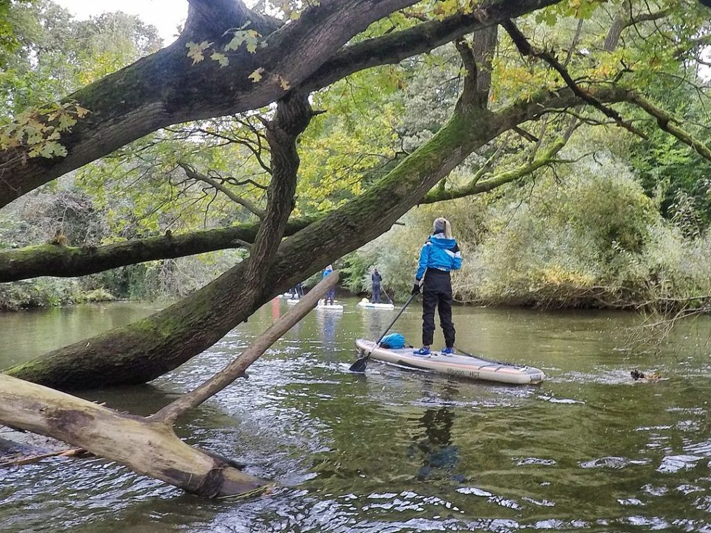 Stand up Paddler