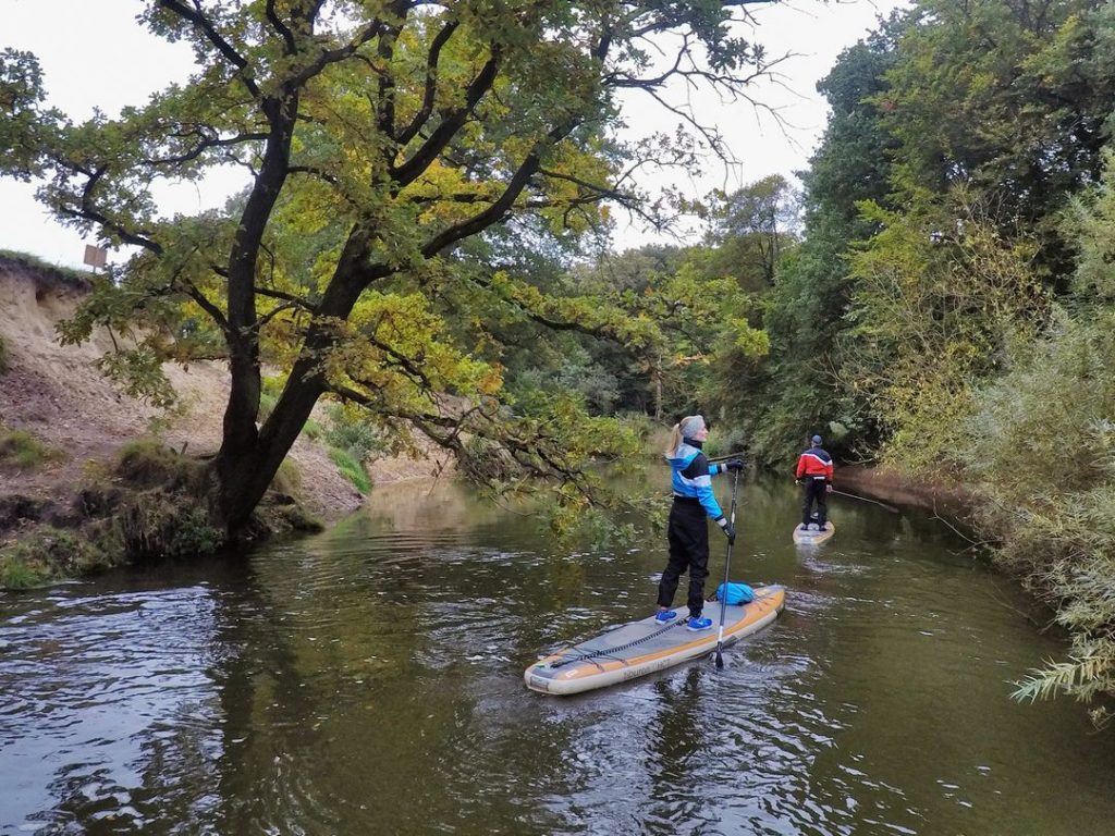 Stand up Paddler