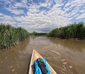 Stand Up Paddler Touring - SUP Touren in Norddeutschland auf der Weser - Harriersand