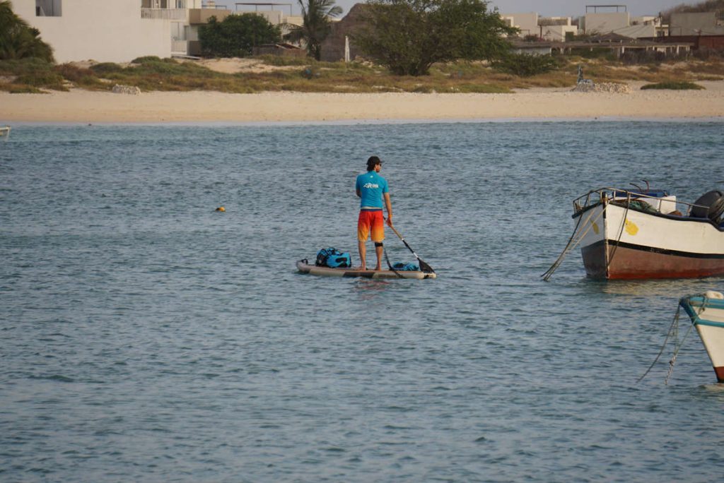 Stand up Paddler