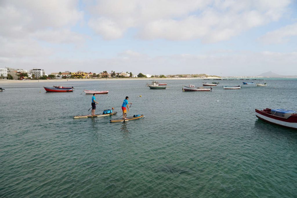 Stand up Paddler