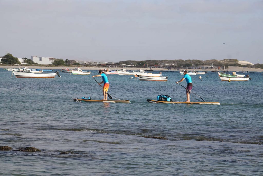 Stand up Paddler