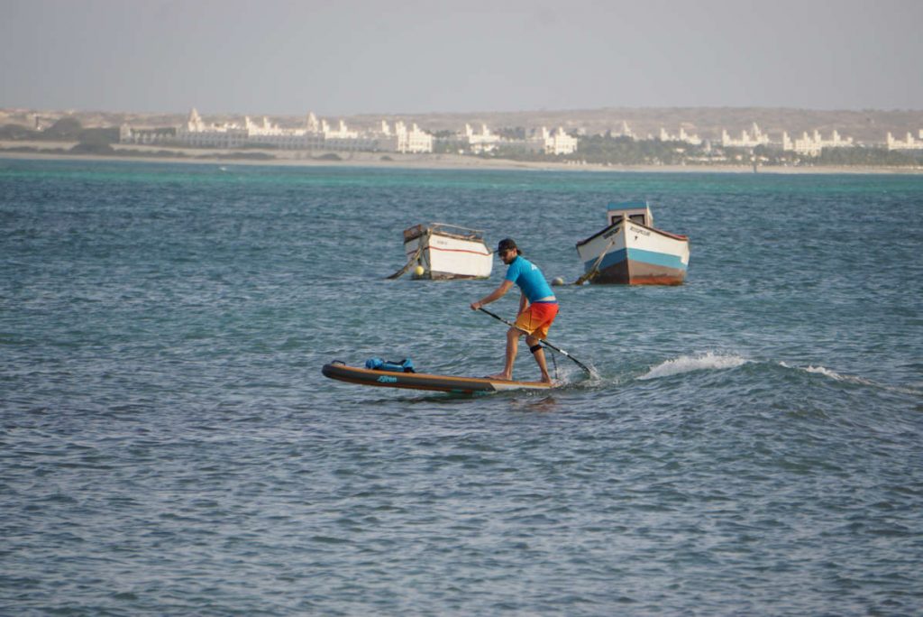 Stand up Paddler