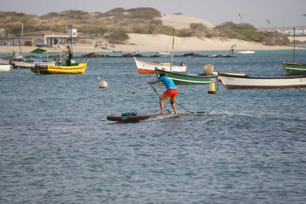 Stand up Paddler