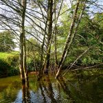 Stand Up Paddling Touren Norddeutschland Hunte Stand-up-paddler.de