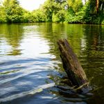 Stand Up Paddling Touren Norddeutschland Hunte Stand-up-paddler.de