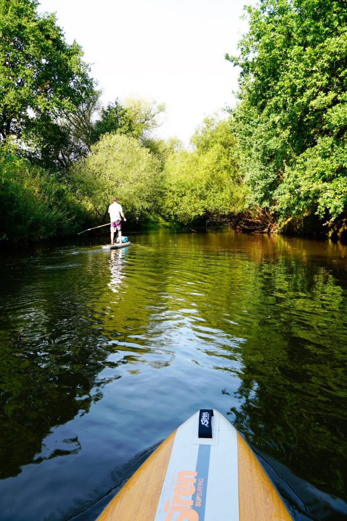 Stand up Paddler