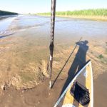 Harriersand SUP Tour mit Stand UP Paddler Oldenburg