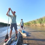 Harriersand SUP Tour mit Stand UP Paddler Oldenburg