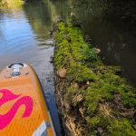 Sup Touring und Kurse mit SIREN SUPsurfing Boards auf In Oldenburg und in Norddeutschland stand-up-paddler.de